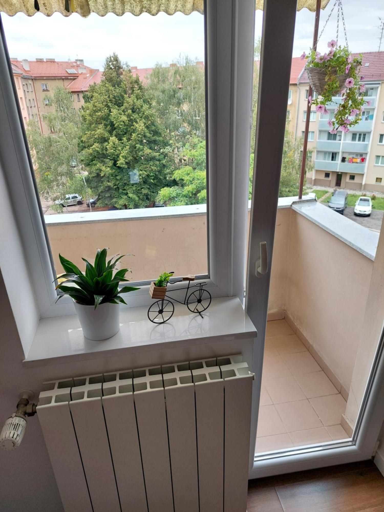B&B Resslova Hradec Králové 외부 사진